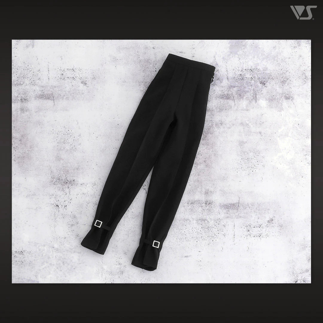 Pleated Pants