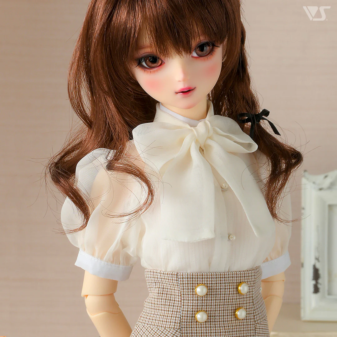 Sheer Blouse & Tight Skirt Set