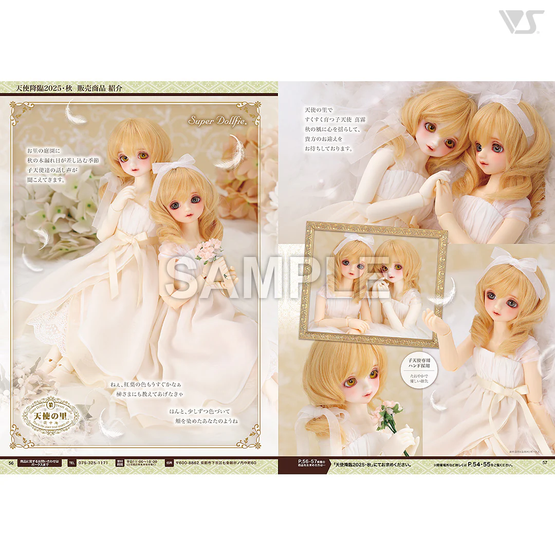 Volks News 109 - Image 6