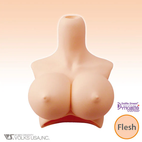 DDdy Bust (Discontinued) - Image 2