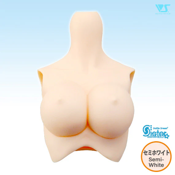 DDS Bust - Image 11