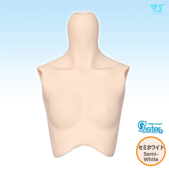 DDS Bust - Image 12