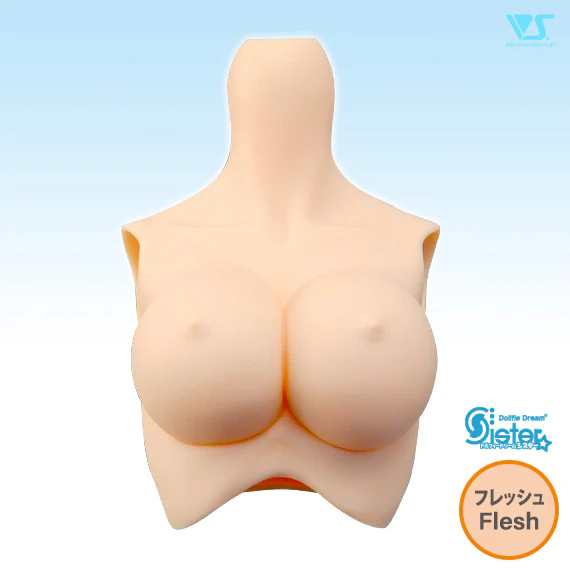 DDS Bust - Image 5
