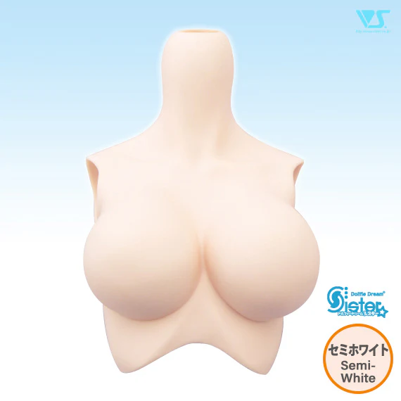 DDS Bust - Image 9